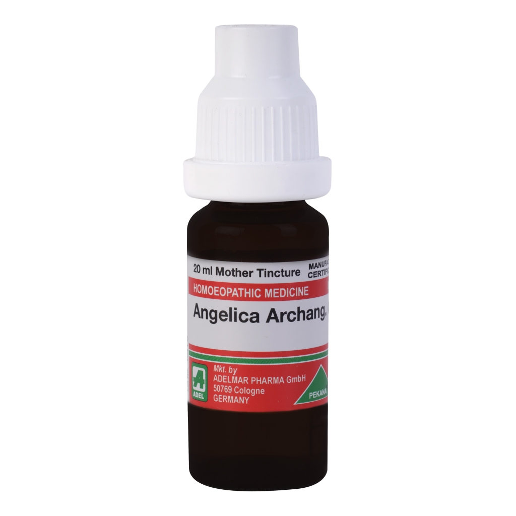 Adel Angelica Archangelica  Q (20ML)